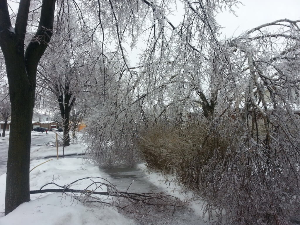 ice storm toronto 2013 - pic2