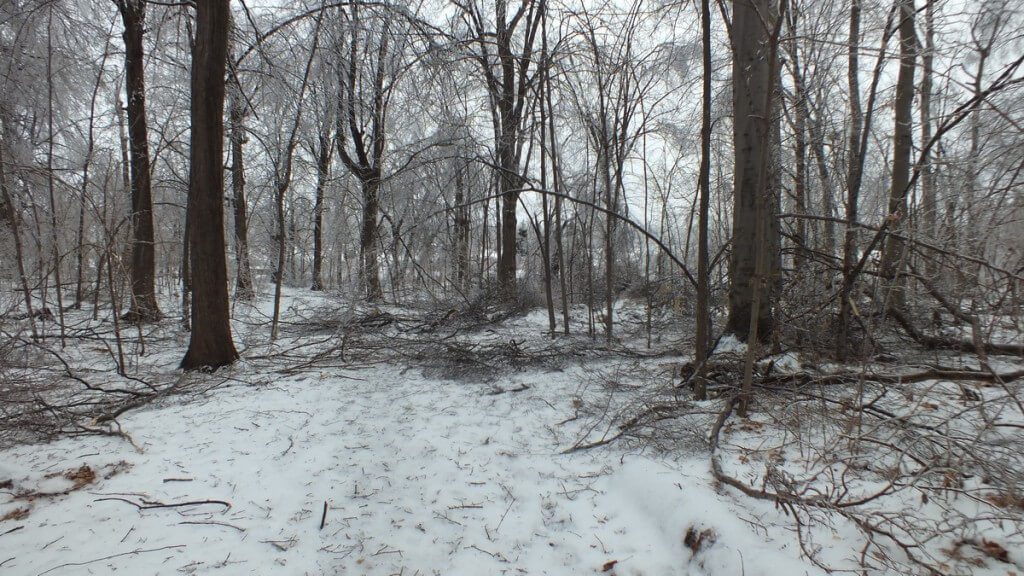 ice storm toronto 2013 - pic20