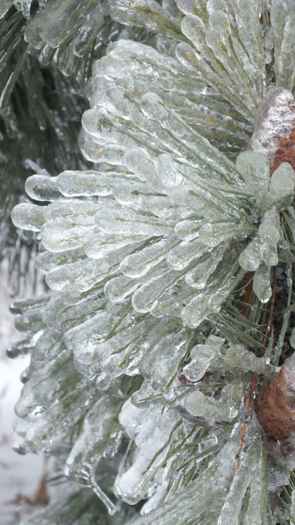 ice storm toronto 2013 - pic24