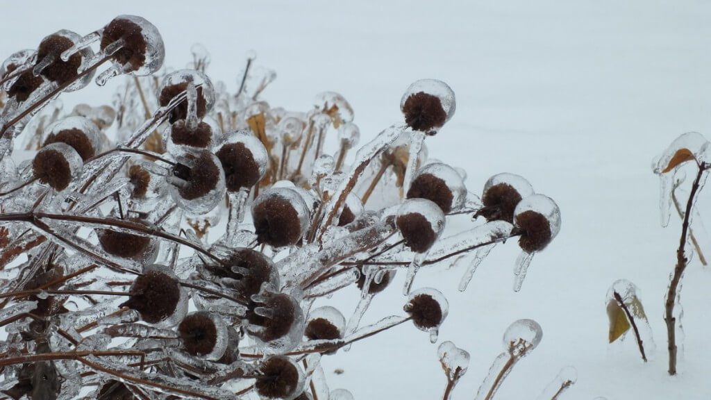 ice storm toronto 2013 - pic26
