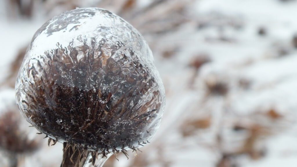 ice storm toronto 2013 - pic28