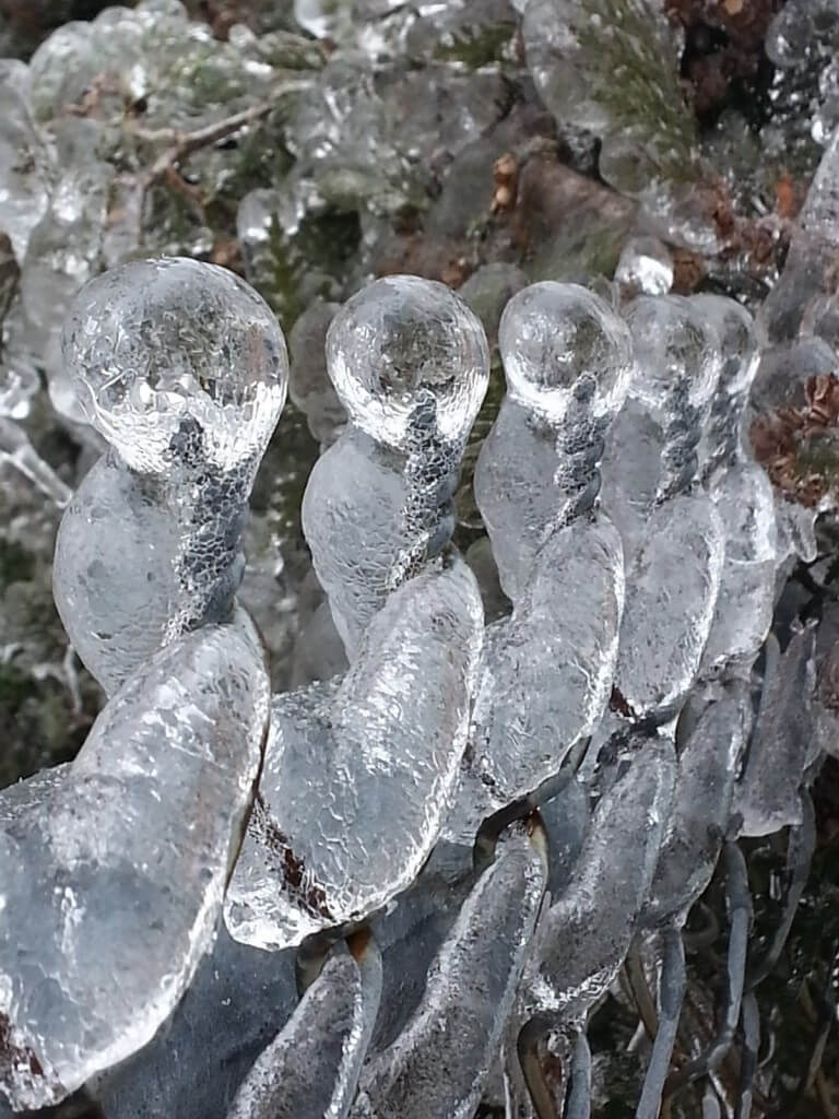 ice storm toronto 2013 - pic3