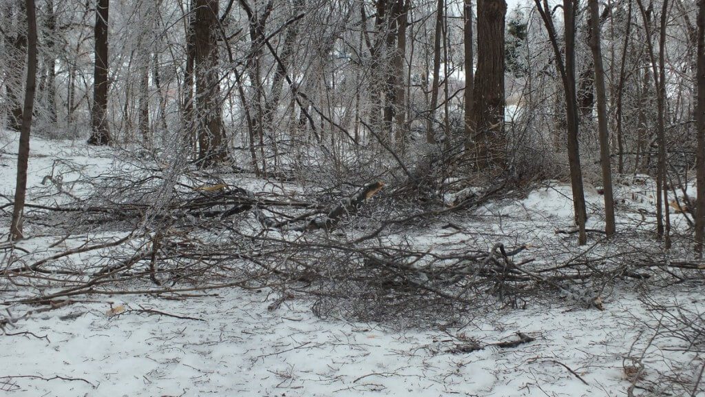 ice storm toronto 2013 - pic32