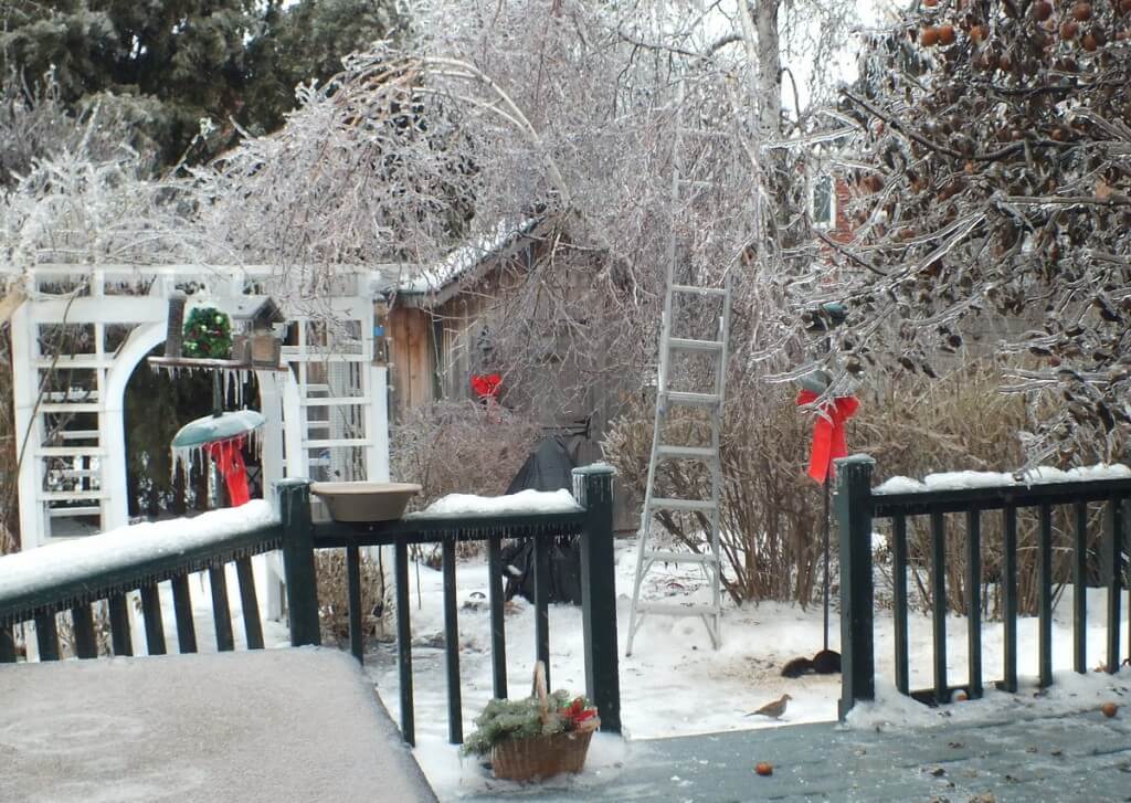 ice storm toronto 2013 - pic8