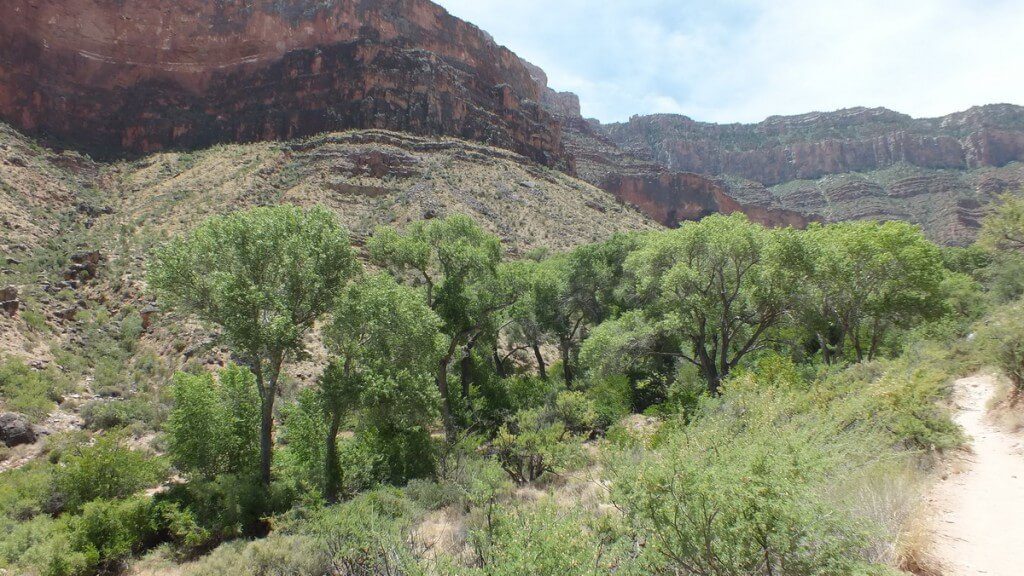 View of indian garden on the Bright Angel Trail to Plateau Point at the Grand Canyon