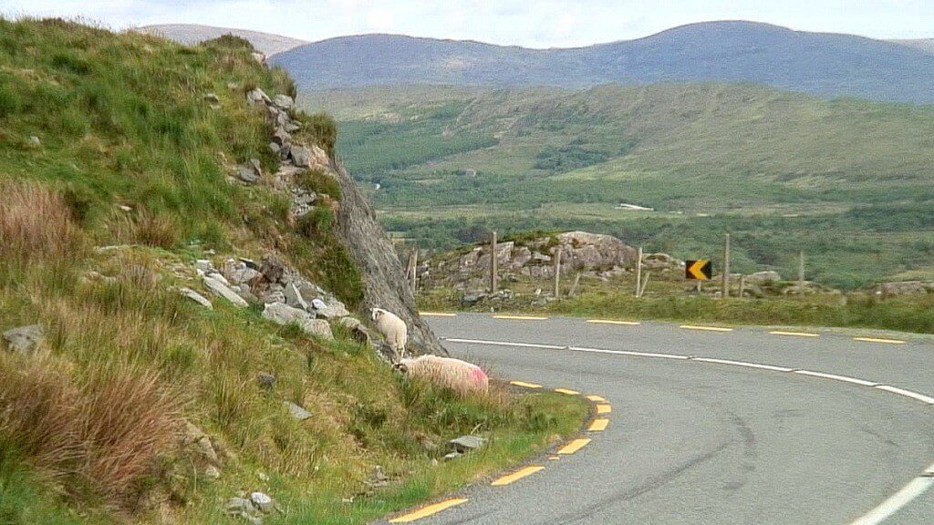 tire marks caha pass roadway 9c