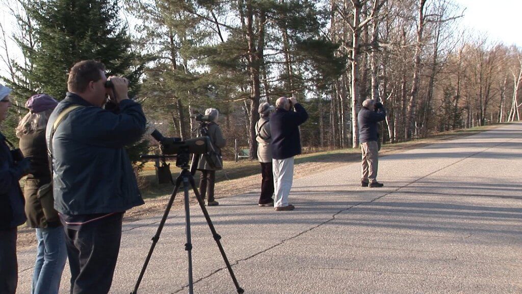 birders from england 1