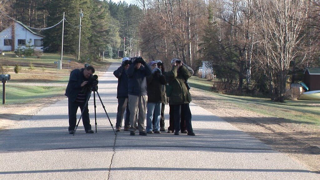 birders from england 2