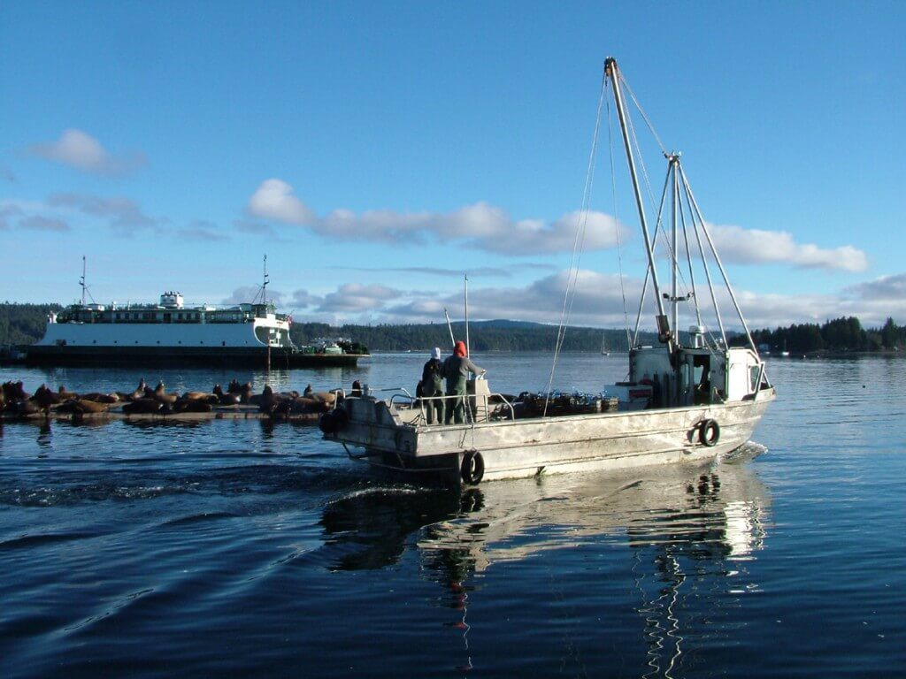 An image of a fishing boat leaving Fanny Bay on Vancouver Island in British Columbia. Photography by Frame To Frame - Bob and Jean.