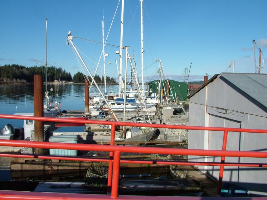 An image of fishing boats at the wharf in Fanny Bay on Vancouver Island, British Columbia. Photography by Frame To Frame - Bob and Jean.