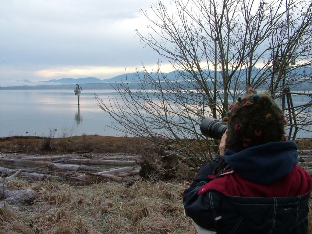 jean takes photo - bald eagles on navigational beacon - comox