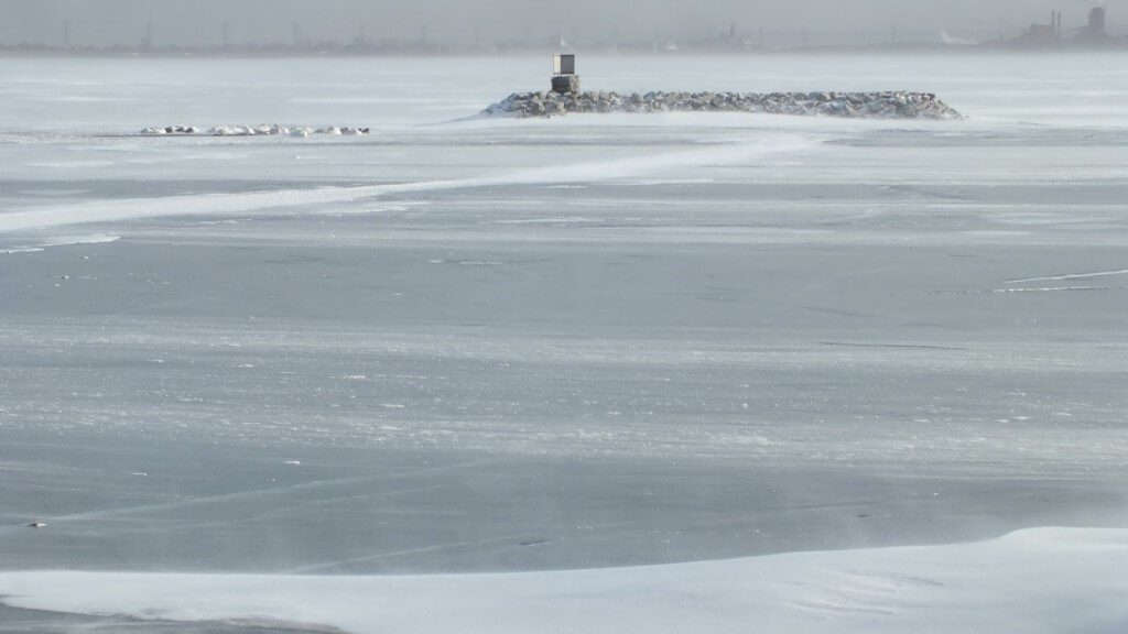 trumpeter swans near island on ice - la salle park - burlington - ontario 3
