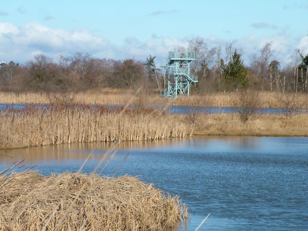 Bird observation tower at Reifel Migratory Bird Sanctuary in Delta, BC, Canada.