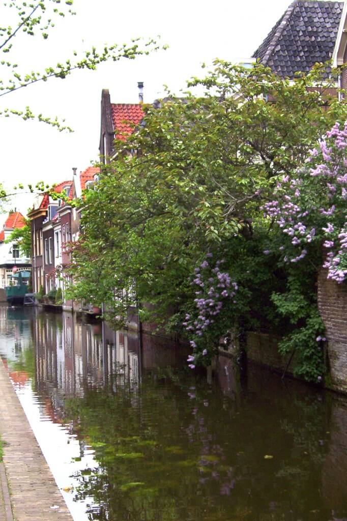 flowers along a canal, delft, the netherlands