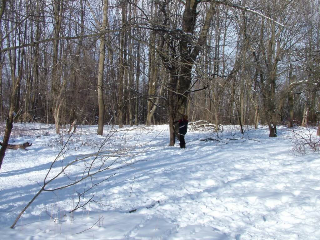 jean in forest - lynde shores conservation area - whitby 14