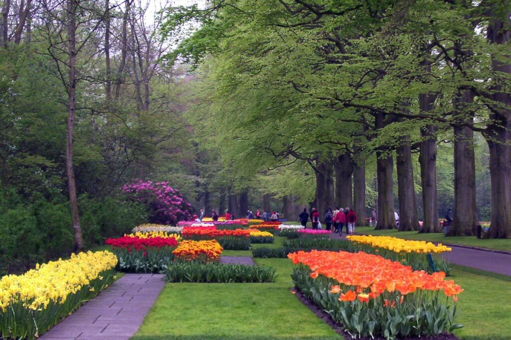 An image of various tulip beds at Keukenhof Gardens near Lisse, in the Netherlands. Photography by Frame To Frame - Bob and Jean. 