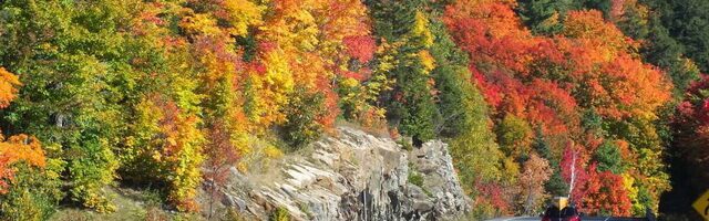image of fall colors in algonquin Park