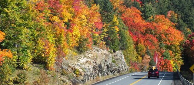 image of fall colors in algonquin Park
