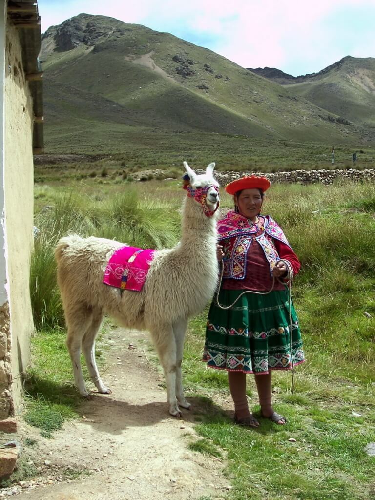 Quechua lady with a Llama at the market at La Raya in Peru, South America