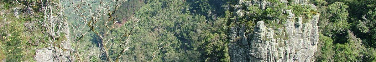 photograph of Pinnacle Rock at Graskop, Mpumalanga, South Africa
