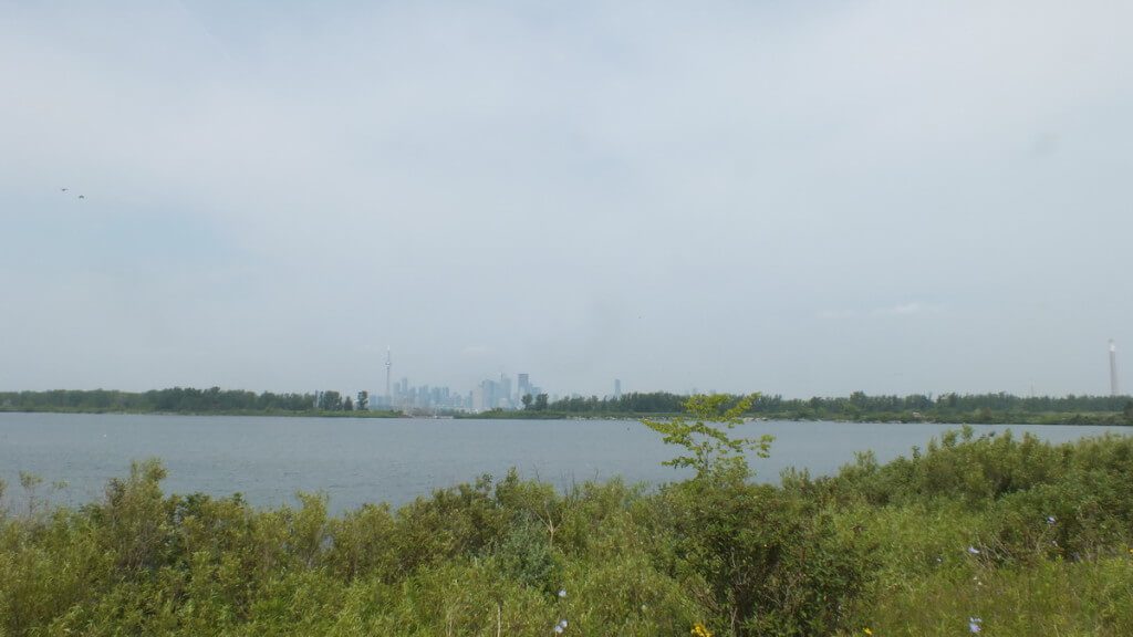 Toronto skyline viewed from Tommy Thompson Park in Toronto, Ontario, Canada