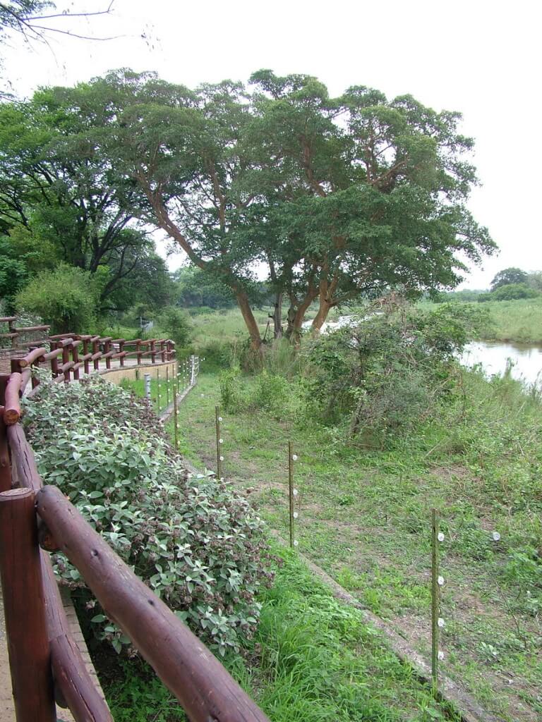 Electric fence at Skukuza Rest Camp in Kruger National Park, in South Africa
