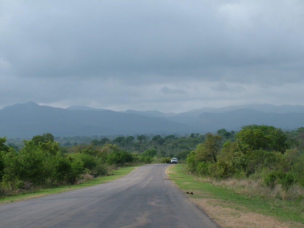 Paved roadway inside Kruger National Park, in South Africa