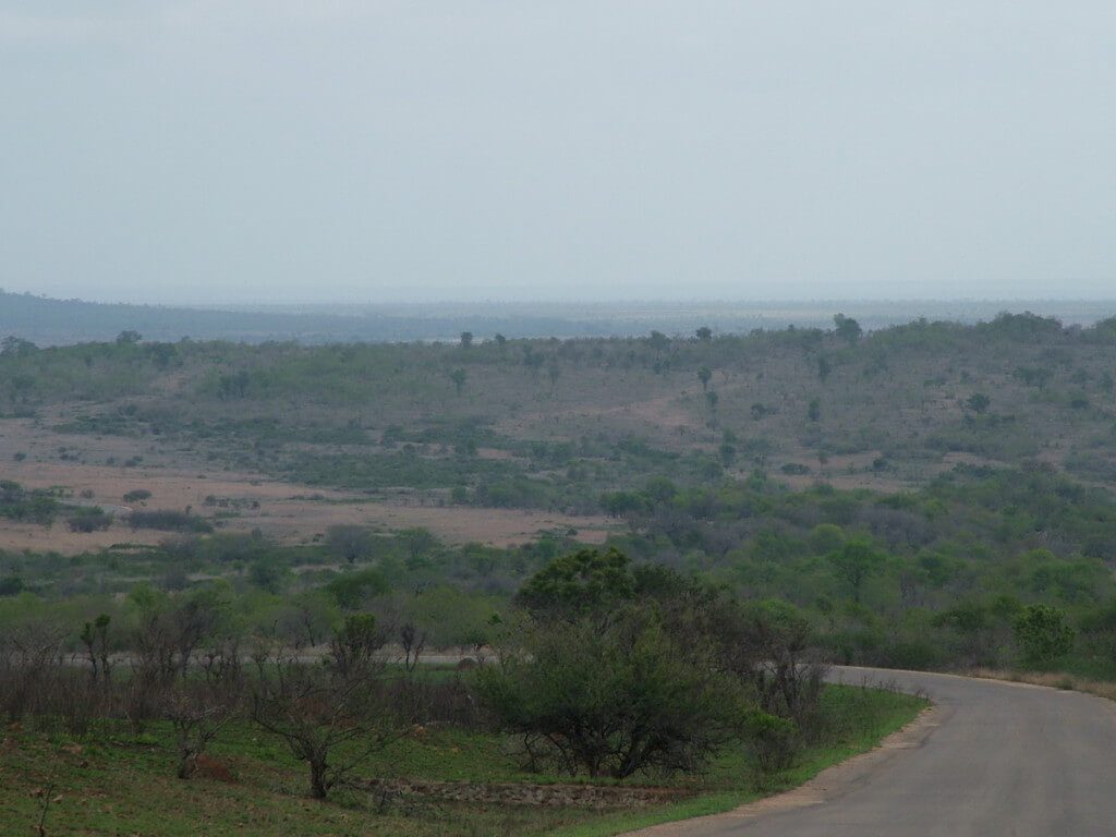 Roadway in Kruger National Park, South Africa