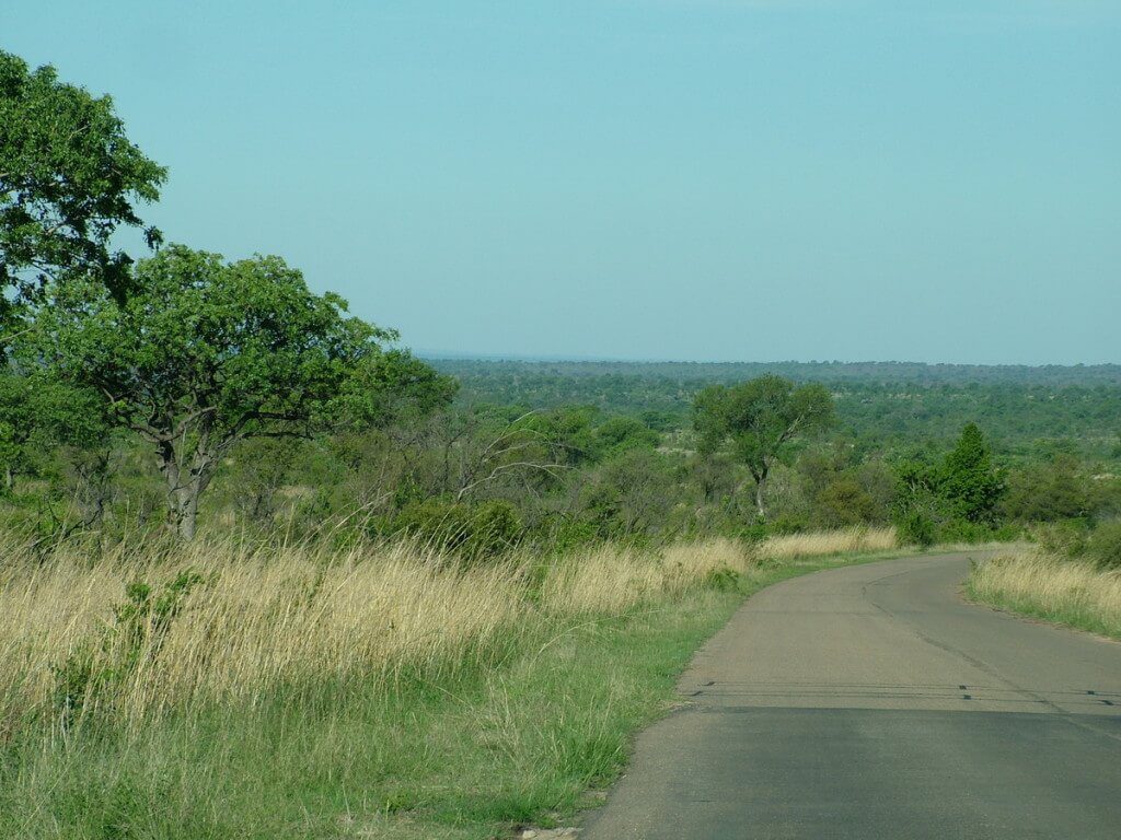 Paved roadway inside Kruger National Park, in South Africa