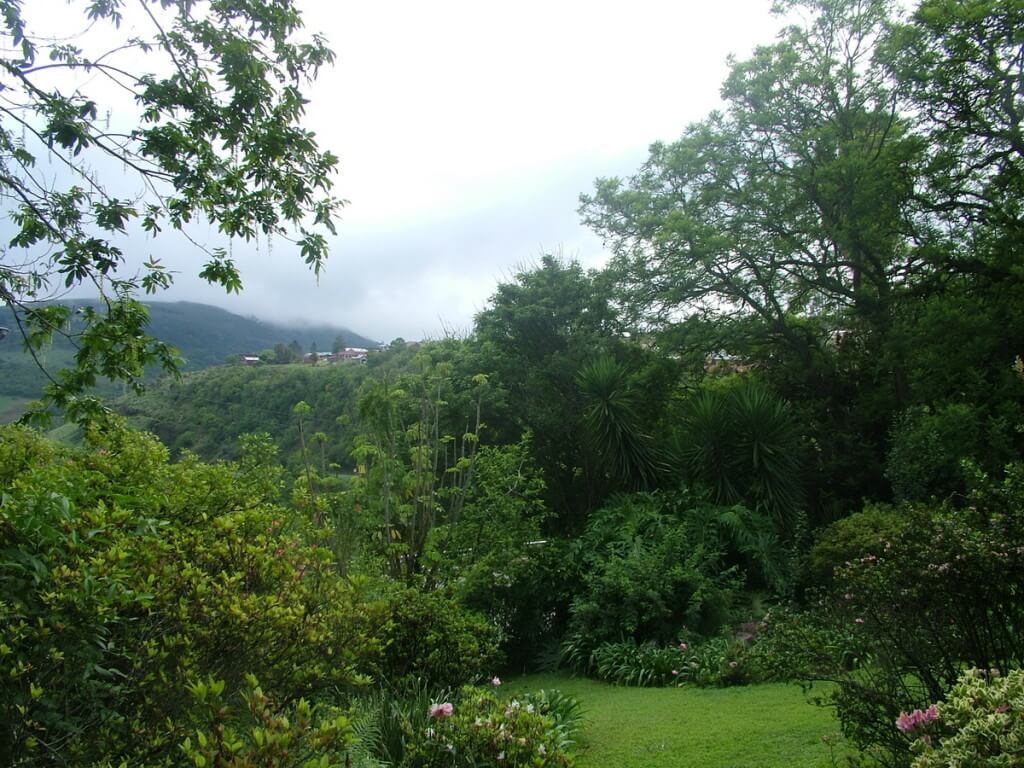 Front garden at Valley View Lodge in Sabie, South Africa