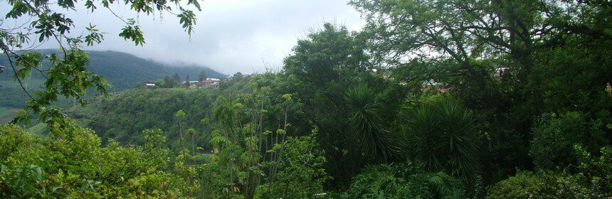 photograph of the front garden at Valley View Lodge, in Sabie, South Africa.