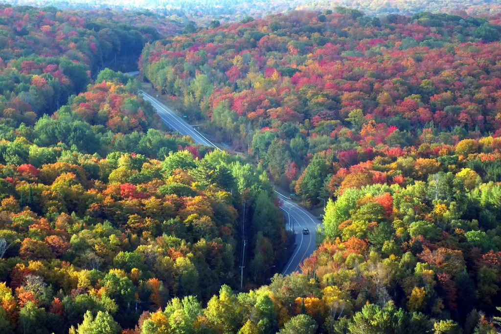 fall colors, dorset tower view, hwy 35, ontario, pic 2