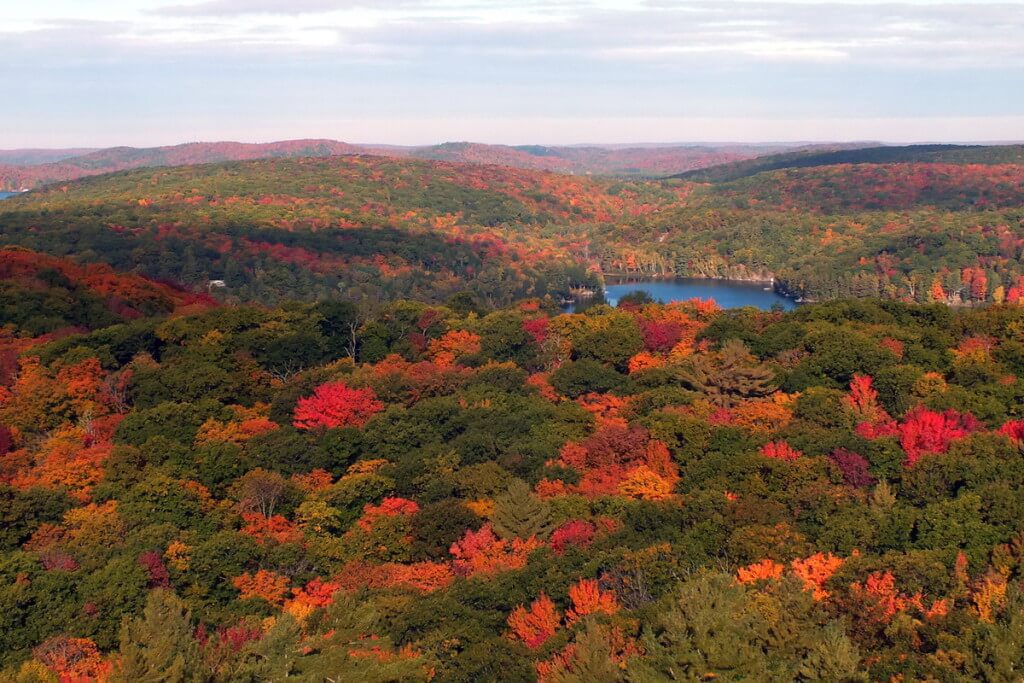 fall colors, dorset tower view, ontario, pic 1