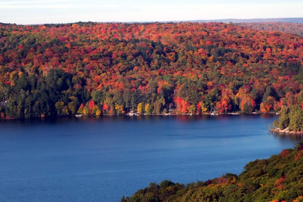 fall colors, lake of bays, ontario, pic 1