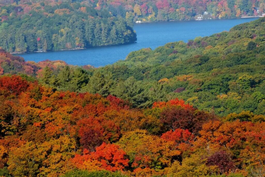 fall colors, lake of bays, ontario, pic 2