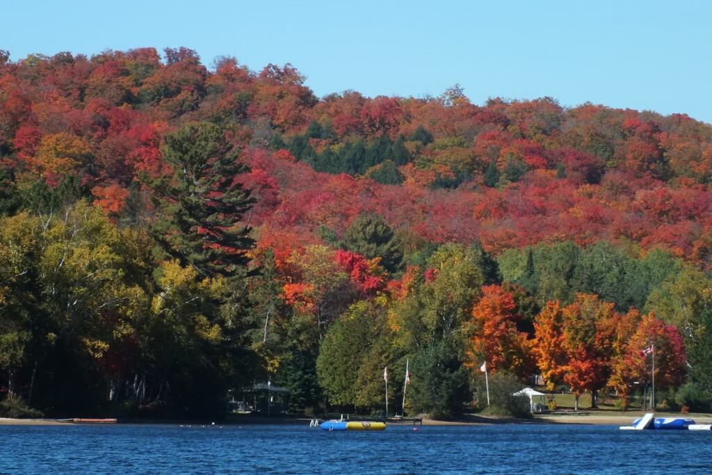 fall colors, oxtongue lake, ontario, pic 1