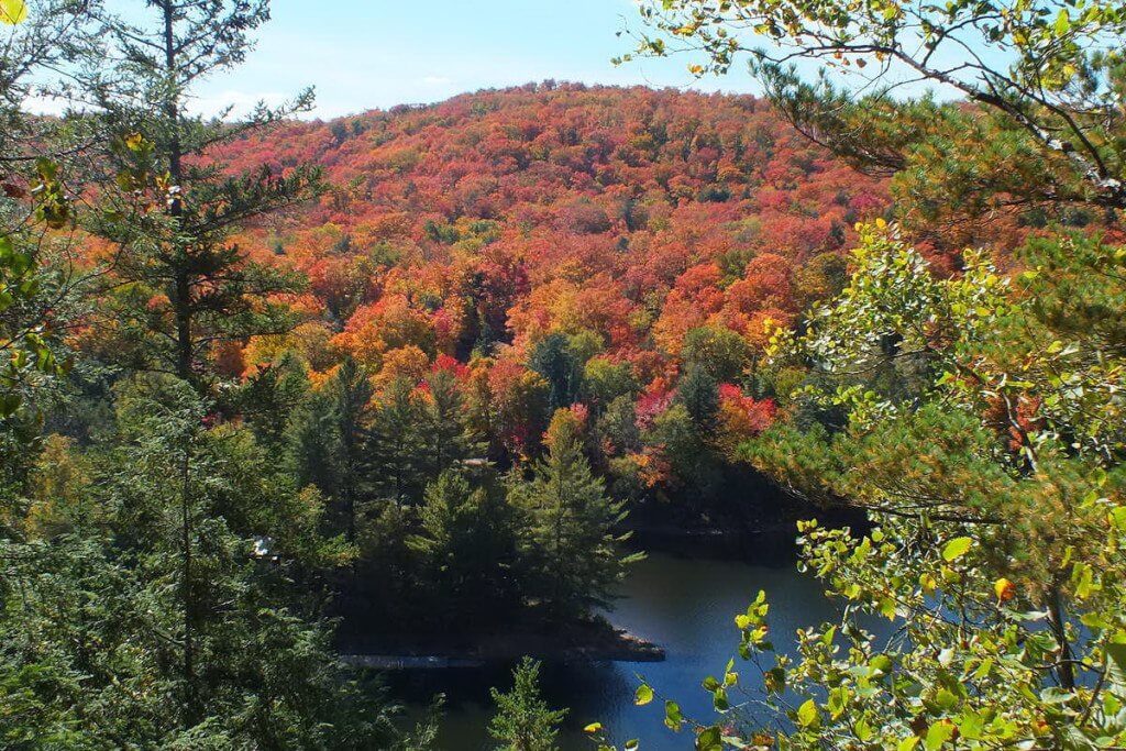 fall colors, oxtongue lake, ontario, pic 3