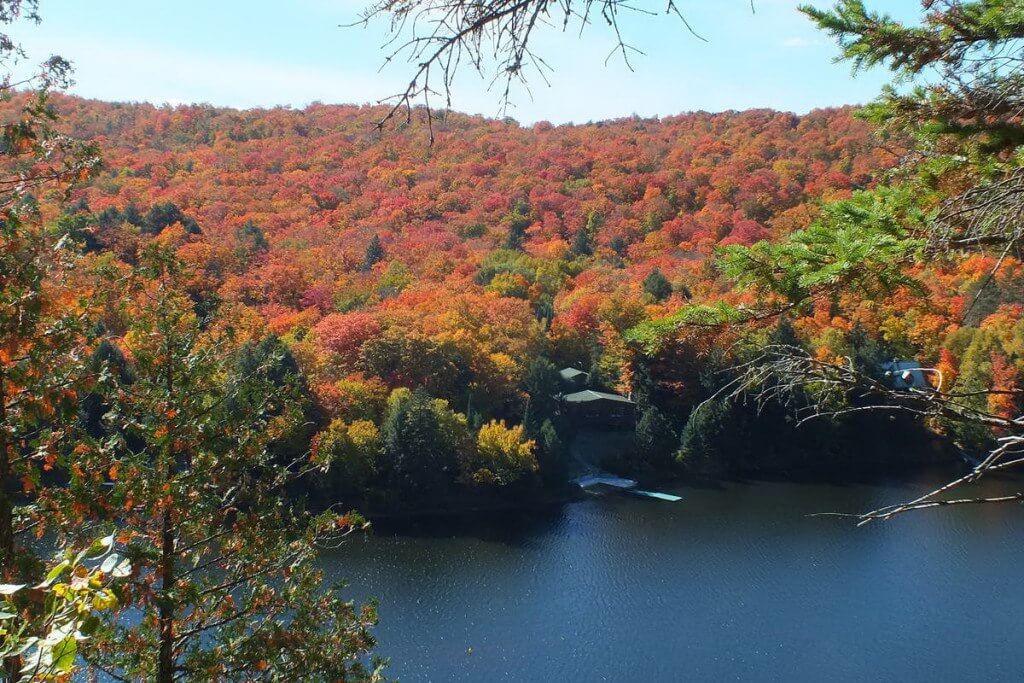fall colors, oxtongue lake, ontario, pic 4