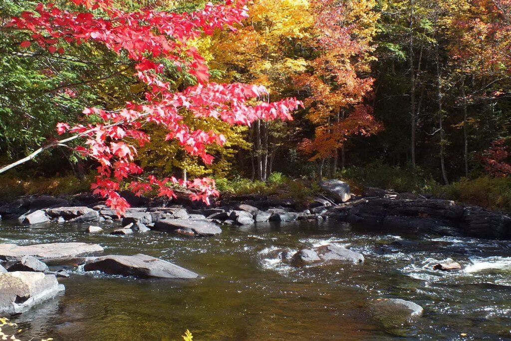 fall colors, oxtongue river, ontario, pic 4