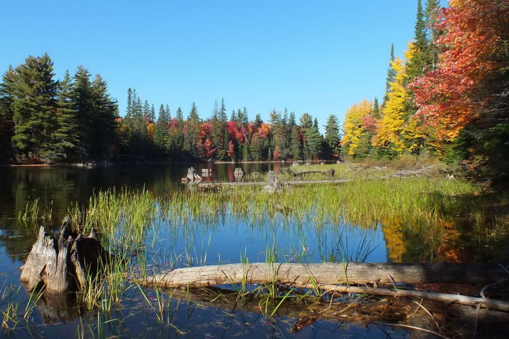 fall colors, tea lake, ontario, pic 1