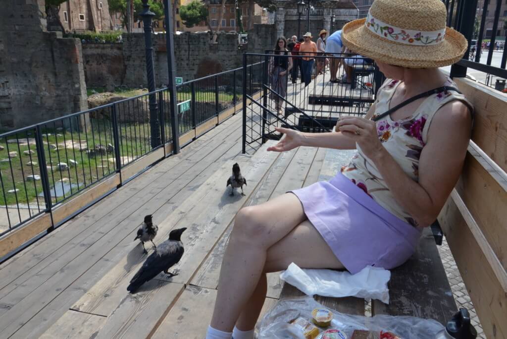 Jean feeding hooded crows at Trajan's Market, in Rome, Italy