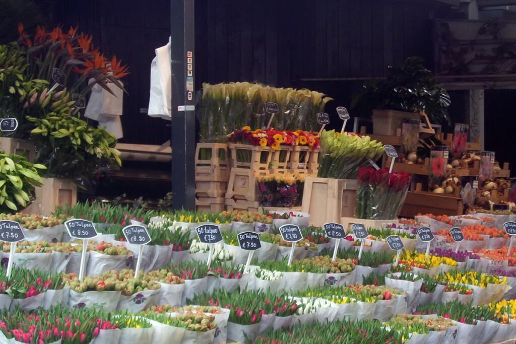 An image of various flowers like tulips for sale at a market in Amsterdam the Netherlands. Photography by Frame To Frame - Bob and Jean.