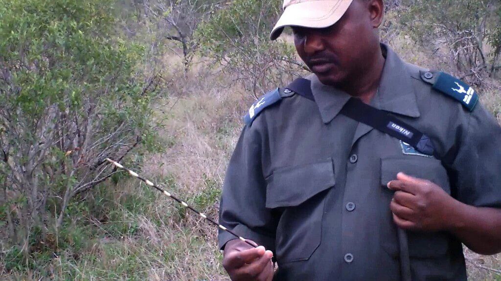 armed safari, kruger national park, south africa, pic 12