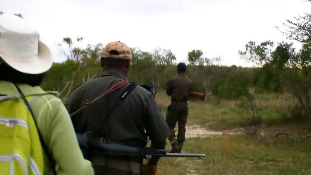 armed safari, kruger national park, south africa
