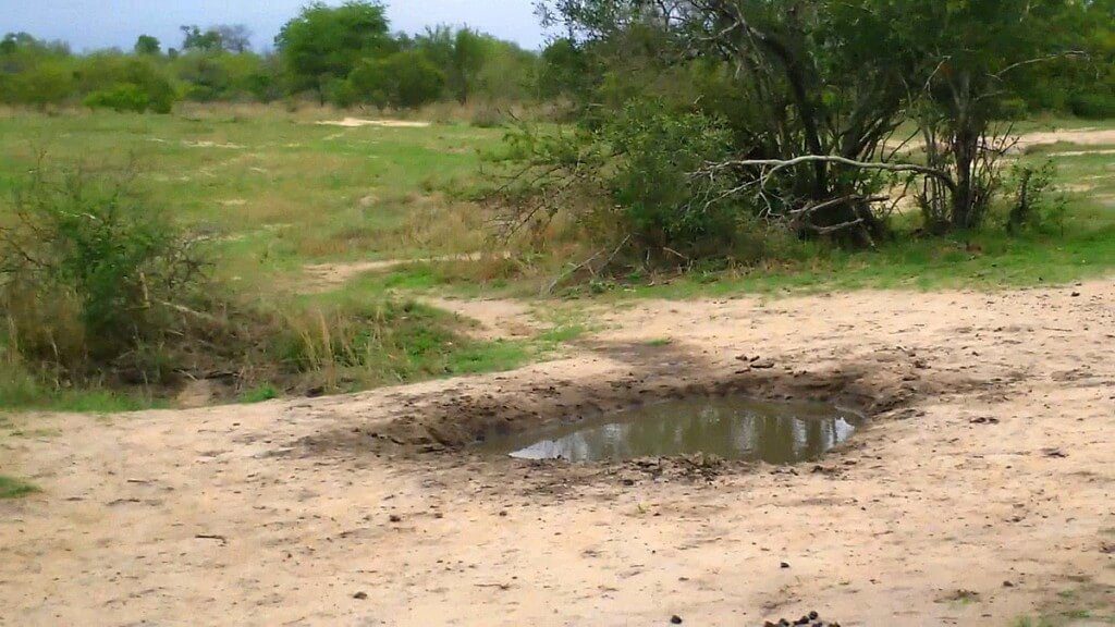armed safari, kruger national park, south africa, pic 18