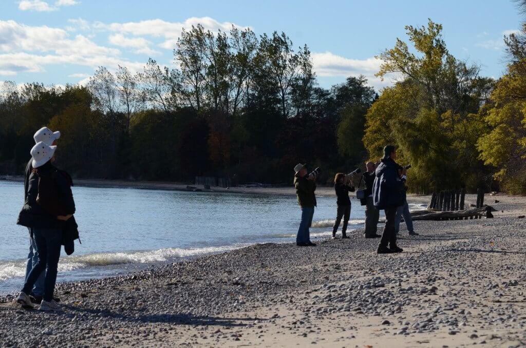 an image of birders with cameras on the shore of lake ontario birders with cameras on the shore of lake ontario, Ontario