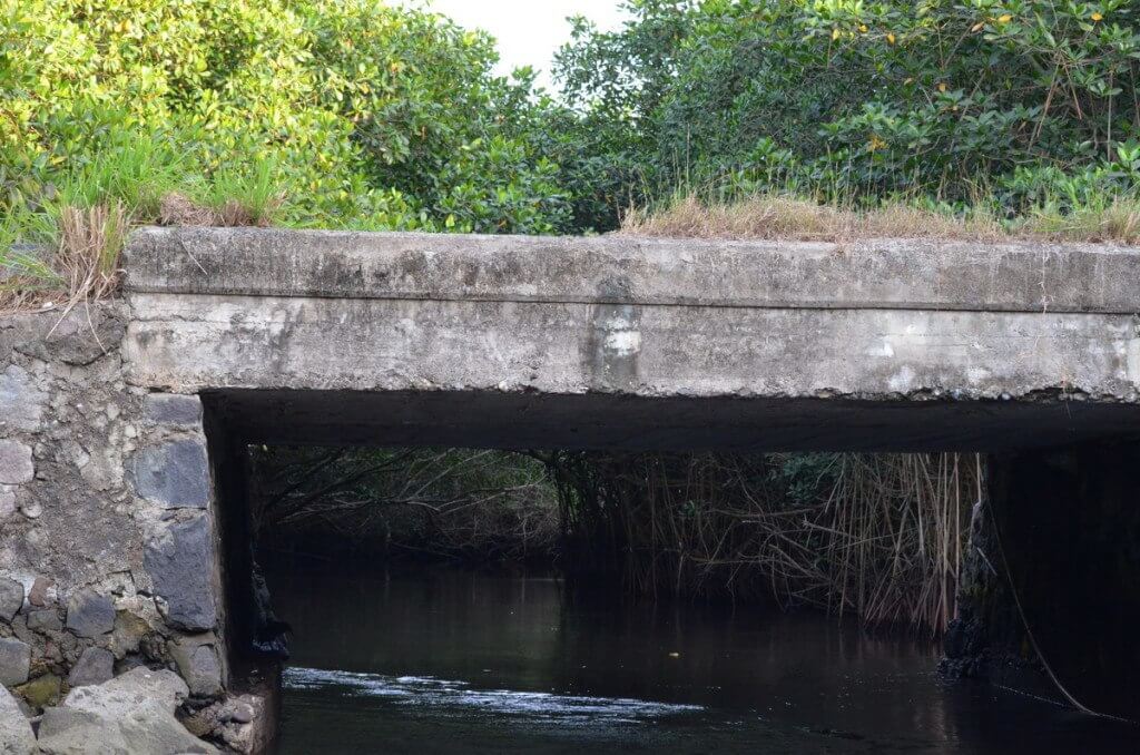 Photo of a channel under a bridge in the mangrove swamp near San Blas, Mexico