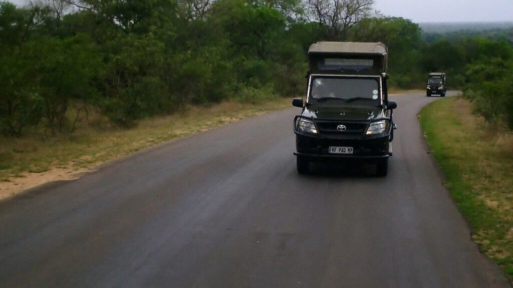 early morning drive, kruger national park, south africa, pic 4