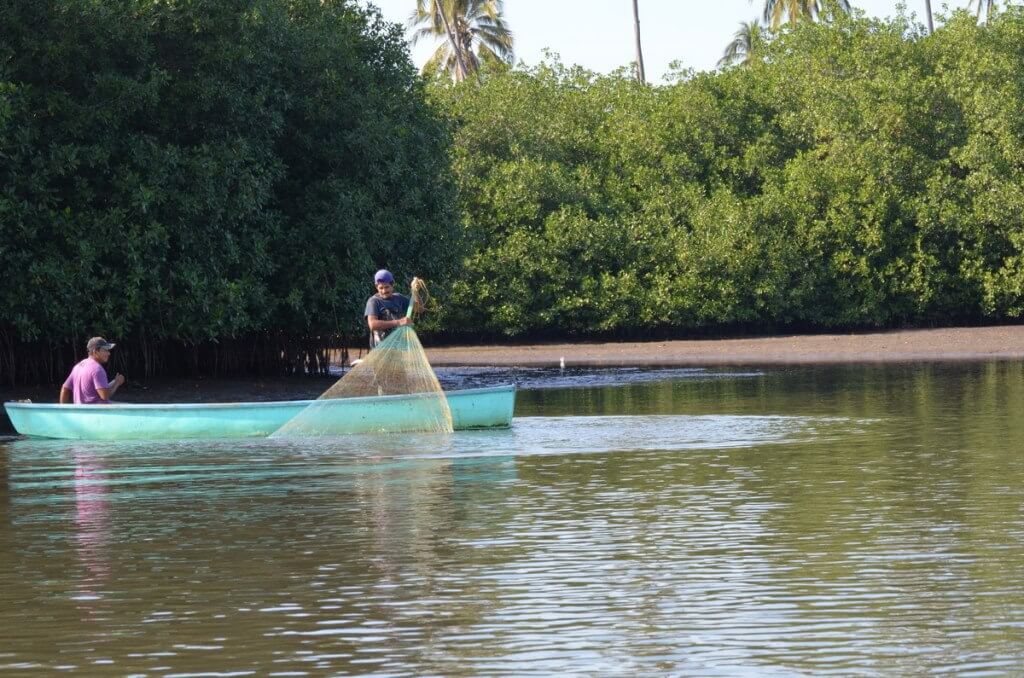 Photo of fishermen pulling in nets along the San Cristobal River near San Blas, Mexico
