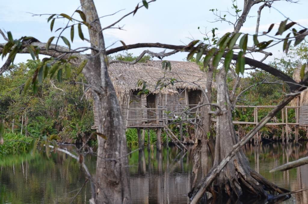  Photo of huts on stilts at Cabeza de Vaca in the mangrove swamp near San Blas, Mexico